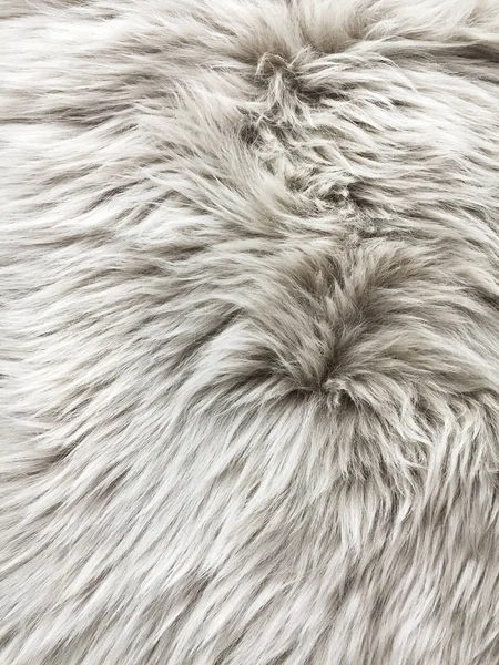 White fur background — Stock Photo, Image