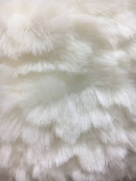 Fond de fourrure blanche — Photo