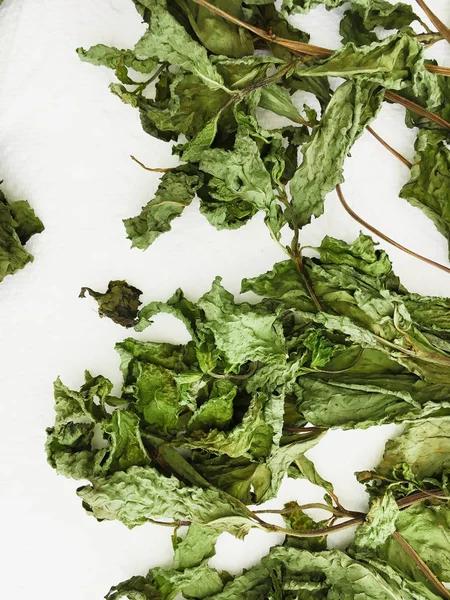 Dried mint leaves — Stock Photo, Image
