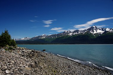 Seward Alaska çevre diriliş Bay