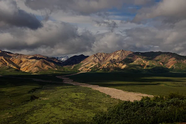 Bergketen in het Nationaal Park Mount Denali — Stockfoto