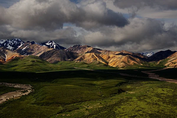 Bergketen in het Nationaal Park Mount Denali — Stockfoto