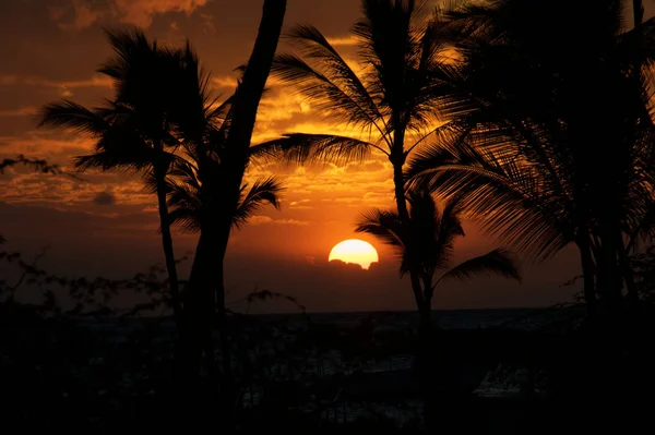 Coucher de soleil sur Big Island — Photo