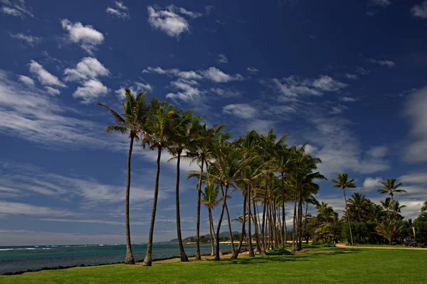 Kauai Beach Scene — Stock Photo, Image