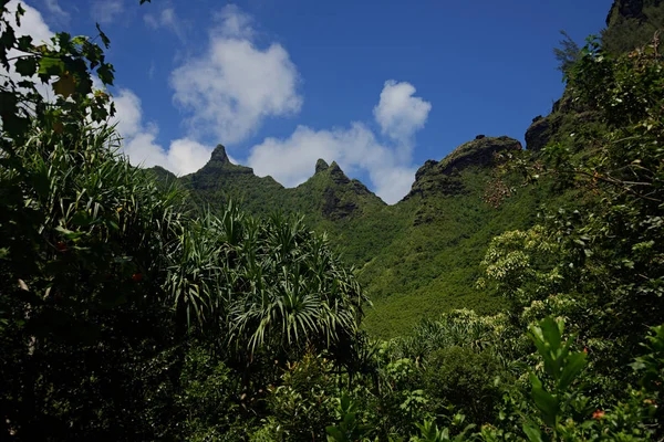 Picos de la costa de NaPali — Foto de Stock