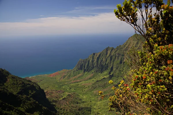 NaPali Coast from the Overlook A — Stock Photo, Image