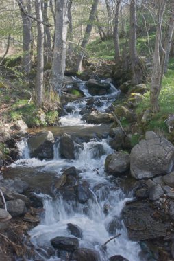 Tepeden aşağı acele şelale