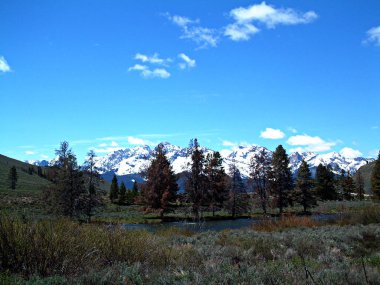 Somon nehir kenarında Stanley, Idaho 7
