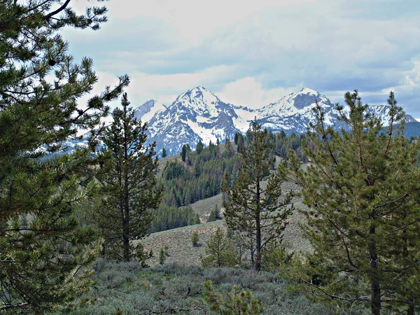 Sawtooth Dağları yakınında Stanley, Idaho D
