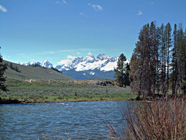Somon nehir kenarında Stanley, Idaho 3
