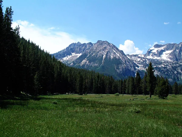 stock image Alpine Meadow and Sawtooth Mountains Near Stanley, Idaho 3