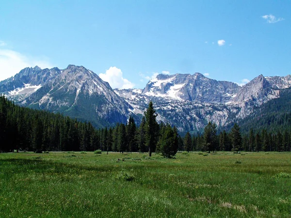 Almwiesen und Sägezahnberge bei Stanley, idaho 1 — Stockfoto