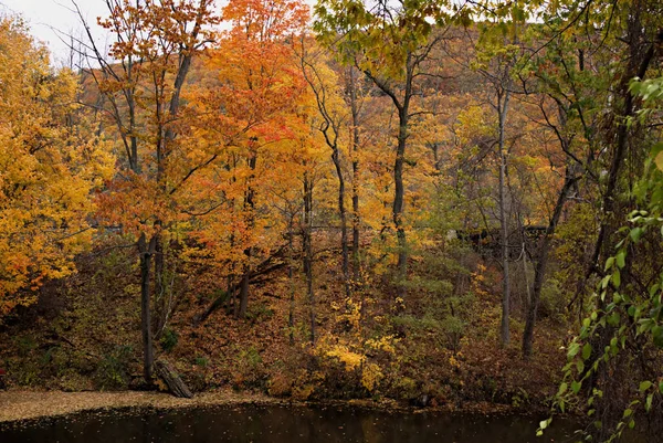 Vermont Autunno Fogliame II — Foto Stock