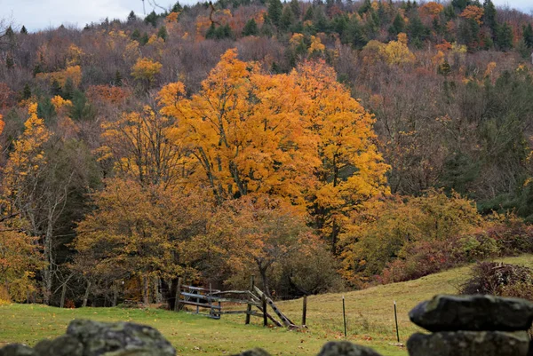 Vermont otoño follaje VI — Foto de Stock