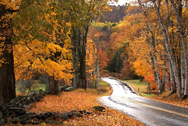 Vermont Fall Foliage VI — стоковое фото