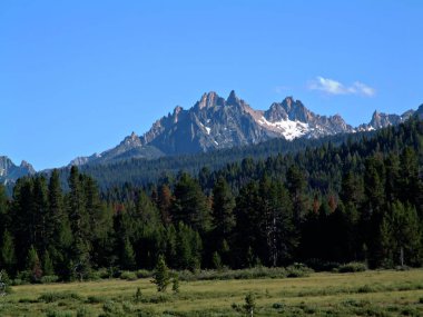 Idaho testere dişi dağlar Xx