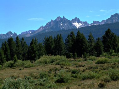 Idaho testere dişi dağlar XI