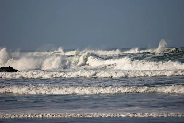 オレゴン州の海岸 iv 風に吹かれたサーフ — ストック写真
