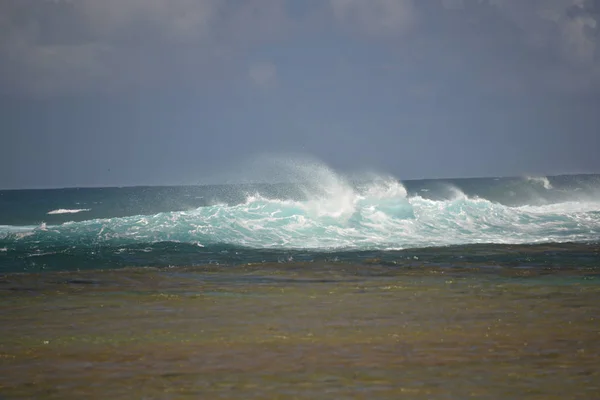 Kauai Windblown Surf Iii — Foto Stock