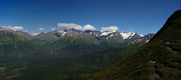 Panorama Alaska Mountain — Zdjęcie stockowe