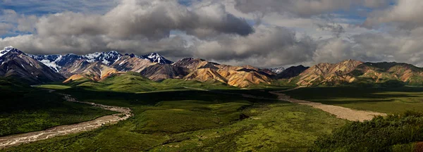 Panorama do Parque Denali — Fotografia de Stock