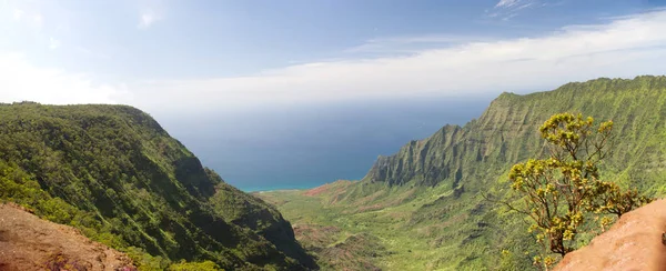 Kauai NaPali Overlook — Stock Photo, Image