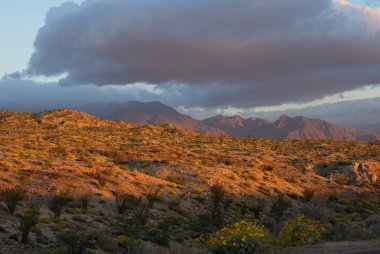 Anza-Borrego Çölü gündoğumu