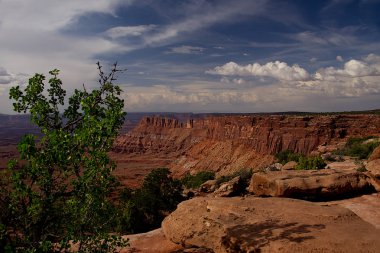 İğneler Overlook C