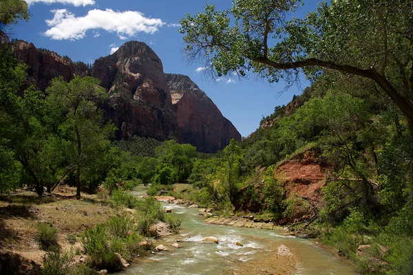 Lower Emerald Pool Trail B — Stock Photo, Image