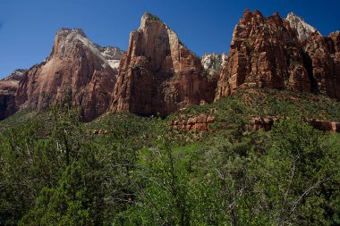 D Patrikler Mahkemesi