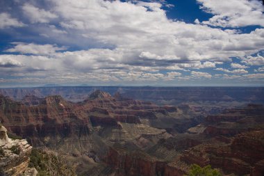 Bright melek nokta göz ardı H