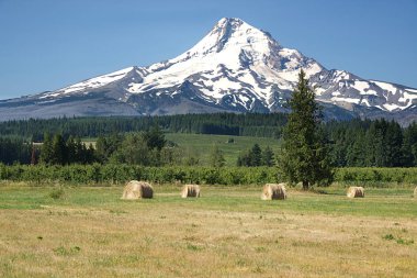 Hayfield A ile Hood MT