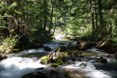 Tamanawas Falls Trail G