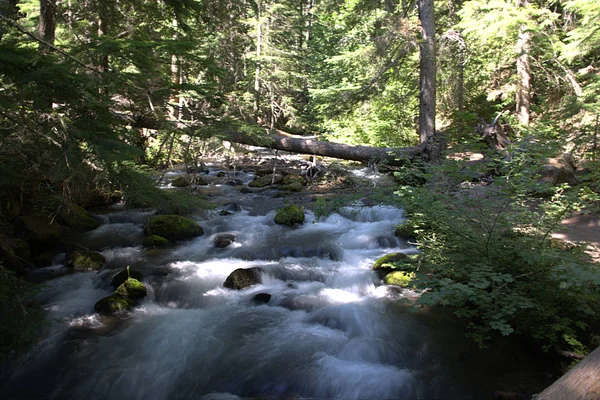 Tamanawas Falls Trail C — Fotografia de Stock