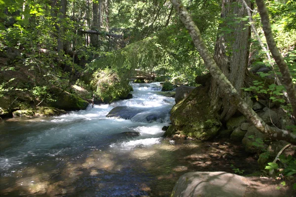 Tamanawas Falls Trail E — Stock Photo, Image