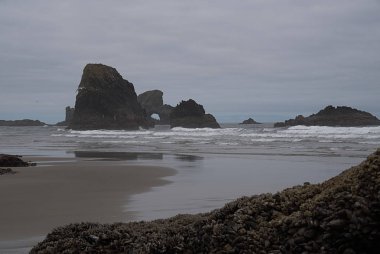 Deniz yığınları E