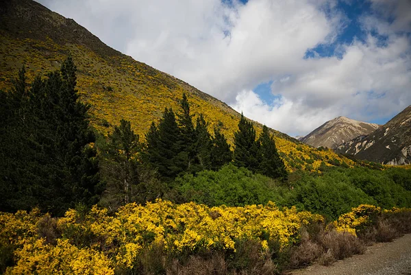 Cena de TranzAlpine Train B — Fotografia de Stock