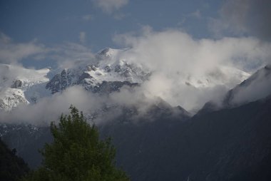 Franz Joseph buzul A