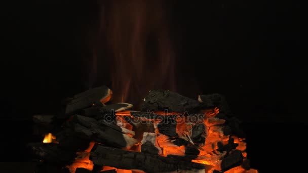 Rode hete houtskool — Stockvideo