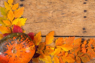 Helloween kabaklar üzerinde eski bir rustik vintage tablo - Üstten Görünüm alanı Kopyala