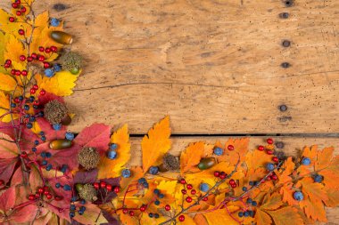 Sonbahar yaprak ve meyve üzerinde eski bir rustik vintage tablo - Üstten Görünüm alanı Kopyala