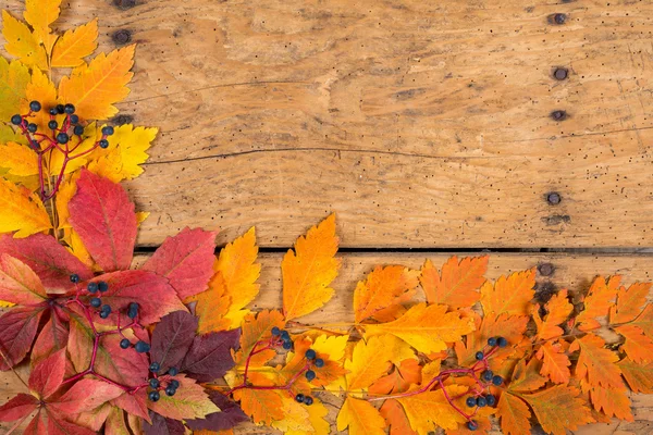 Jesienne liście i owoce na starych rustykalnych tabeli vintage - widok z góry, kopiować miejsca — Zdjęcie stockowe