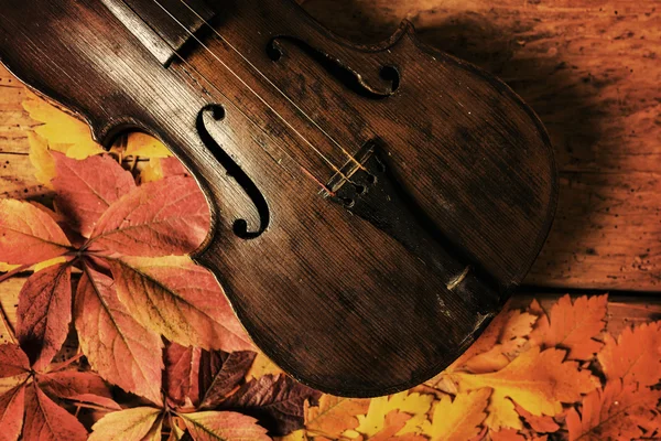 Viejas hojas de violín y otoño sobre una vieja mesa rústica de madera —  Fotos de Stock