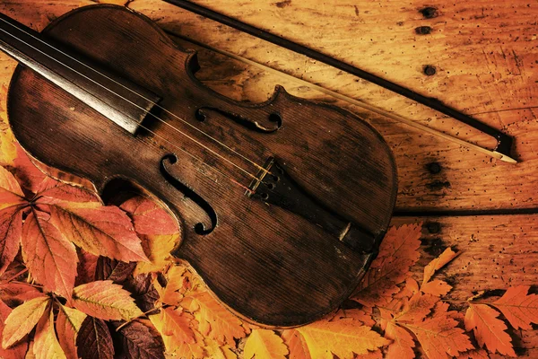 Velho violino e folhas de outono sobre uma velha mesa de madeira rústica — Fotografia de Stock