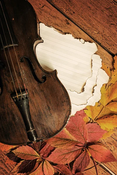 Stare skrzypce i autumn odchodzi stare rustykalne drewniane stół — Zdjęcie stockowe