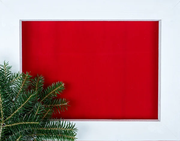 White wooden frame and fir branches over a red background — Stock Photo, Image