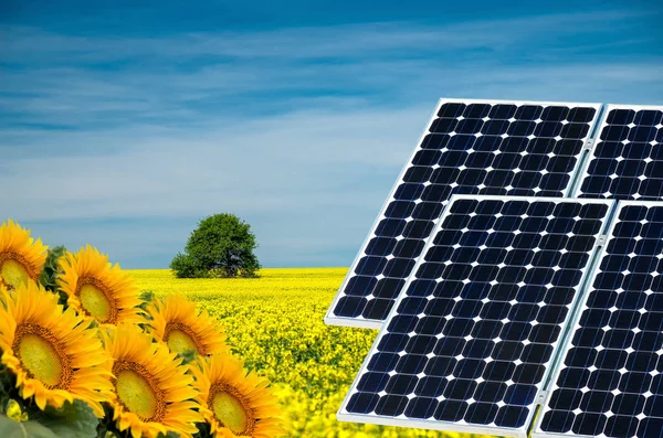 Photo collage of solar panels against the crops background -  concept of sustainable resources — Stock Photo, Image