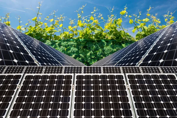 Photo collage of solar panels against the crops background -  concept of sustainable resources — Stock Photo, Image