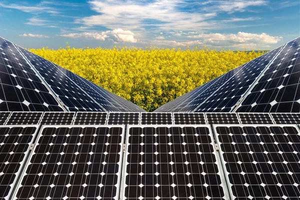 Photo collage of solar panels against the crops background - concept of sustainable resources — Stock Photo, Image