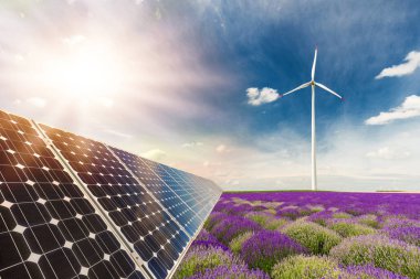 Fotoğraf kolaj güneş panelleri ve Rüzgar turbins bitkileri karşı